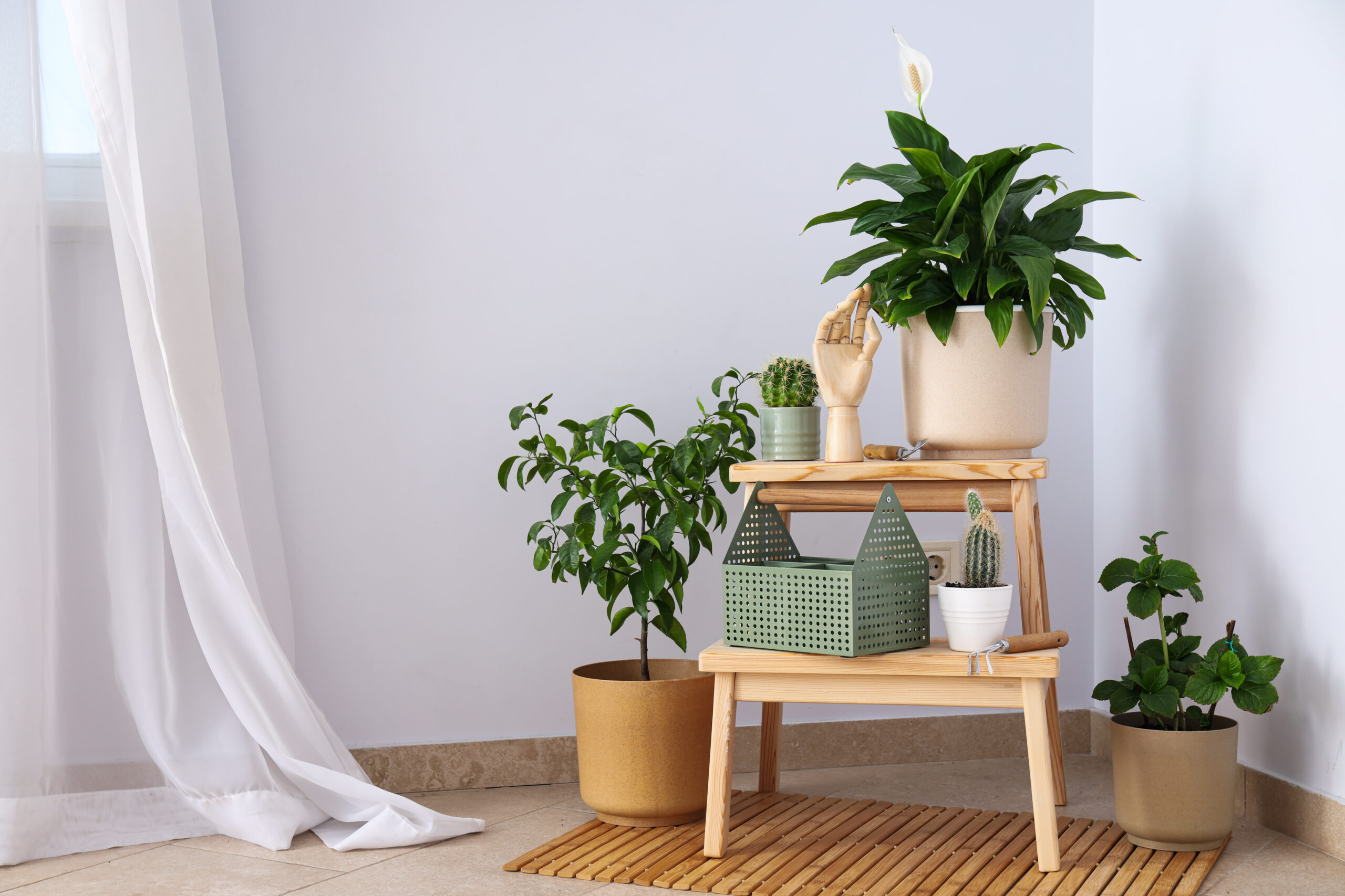15+ Indoor Plant Styling Ideas to Instantly Freshen Up Your Home