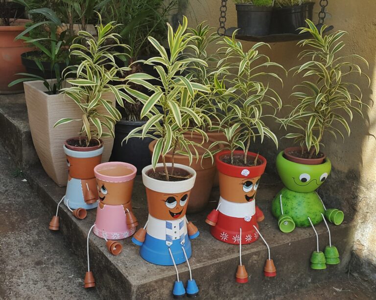 potted plants row