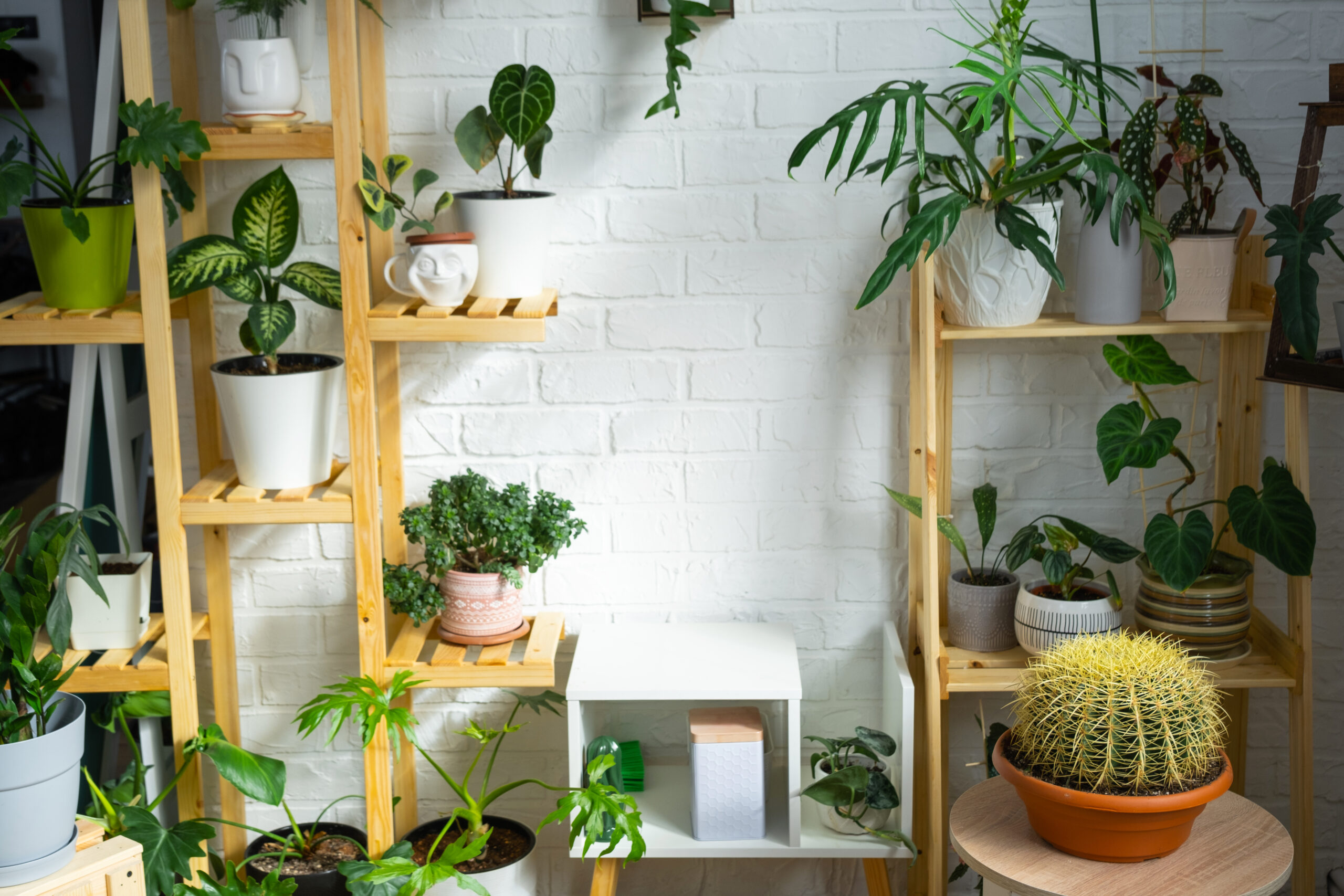 15+ Tiered Plant Stand Ideas to Showcase Your Greenery in Style