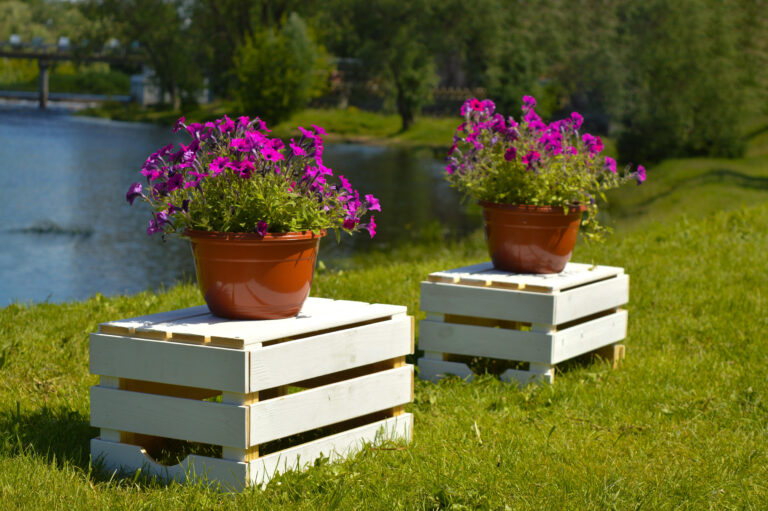 view two pot petunias which stands grass by river bank scaled