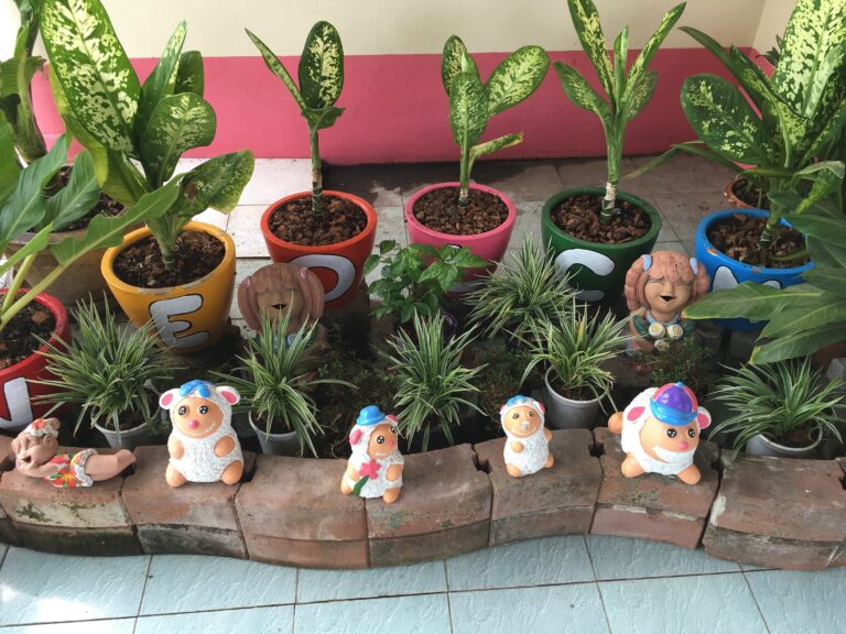 high angle view potted plants greenhouse