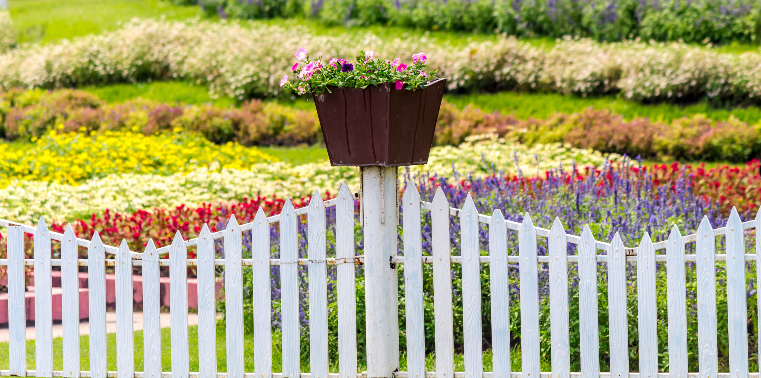 19+ Garden Borders to Frame Your Greenery