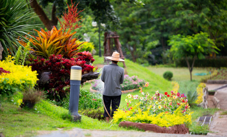 rear view man watering plants 1