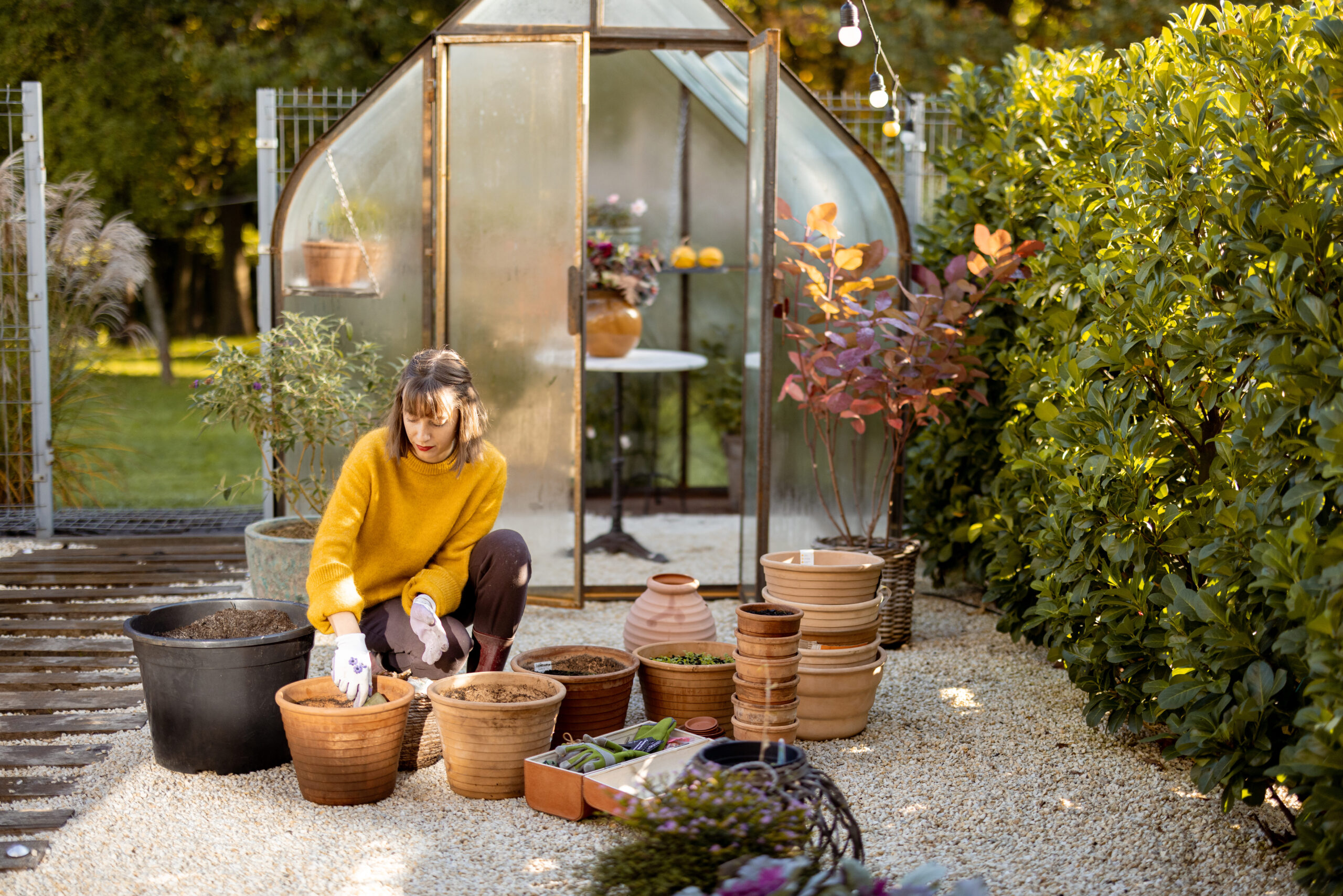 19+ Home Gardening Ideas for Every Space