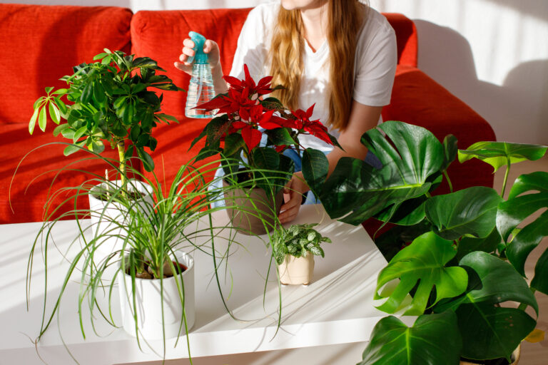 woman spraying indoor plants home 1