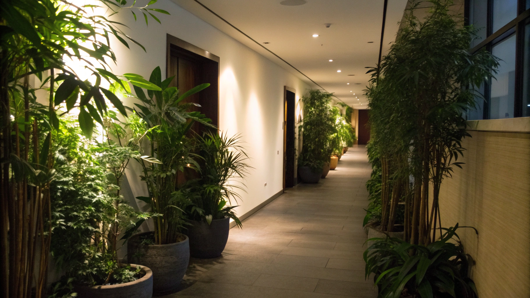 16+ Low-Light Hallway Plants That Bring Life to Narrow Spaces