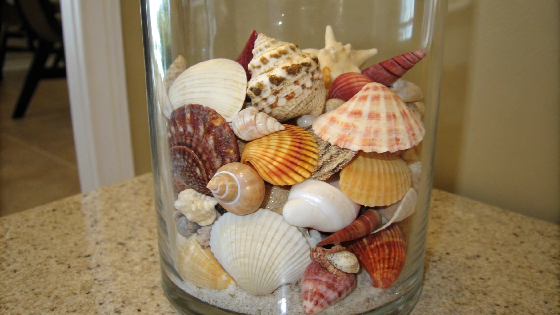 12 Seashell Vase Filler Ideas for Coastal Homes